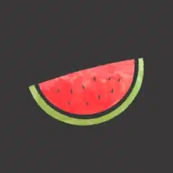 Melon VPN مهكر